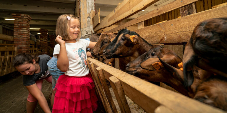 Fotografia przedstawia dziewczynkę, która z uśmiechem na twarzy głaszcze kozły w zamkniętej zagrodzie. Za nią znajduje się druga dziewczynka, która się schyla. Zdjęcie pochodzi z archiwum Jurajskiego Koziołka.