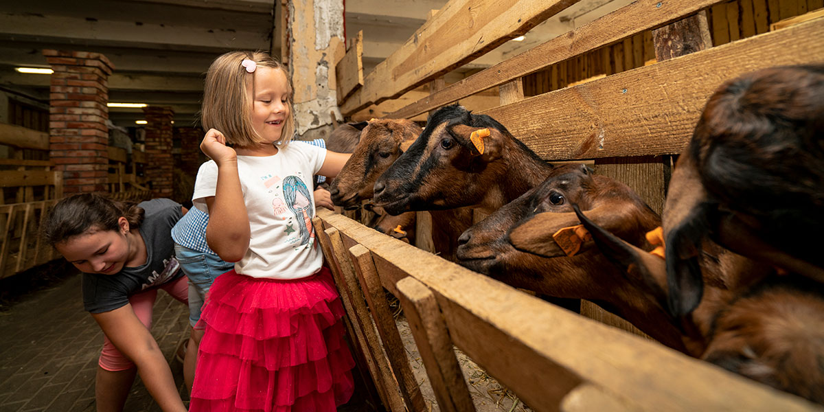 Fotografia przedstawia dziewczynkę, która z uśmiechem na twarzy głaszcze kozły w zamkniętej zagrodzie. Za nią znajduje się druga dziewczynka, która się schyla. Zdjęcie pochodzi z archiwum Jurajskiego Koziołka.