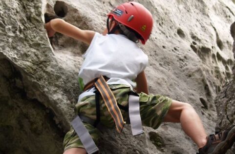 Z dala od zgiełku