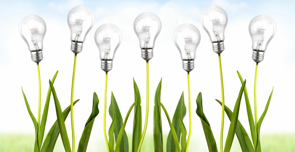 zielone swiatlo dla zielonych projektow 2 1024x527 1