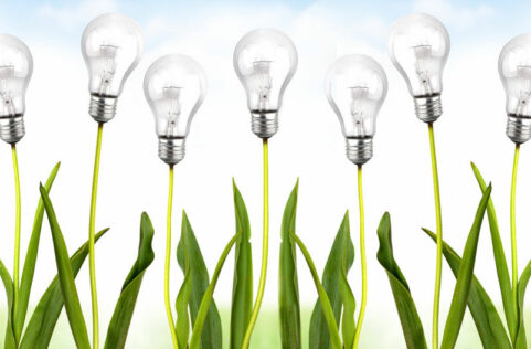 Zielone światło dla zielonych projektów